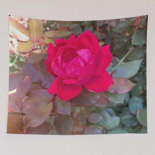 Item preview, Beauty in the Imperfections (#nofilters) designed and sold by kellykart.
