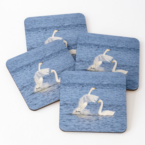 Item preview, Showtime baby. Whooper swan designed and sold by Jouko Lehto Photography.
