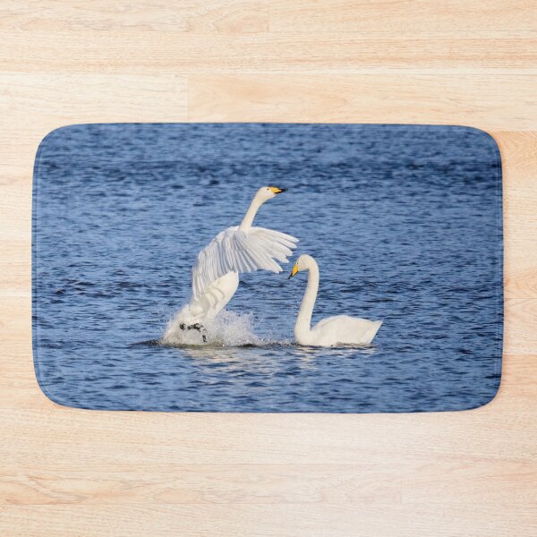 Item preview, Showtime baby. Whooper swan designed and sold by Jouko Lehto Photography.
