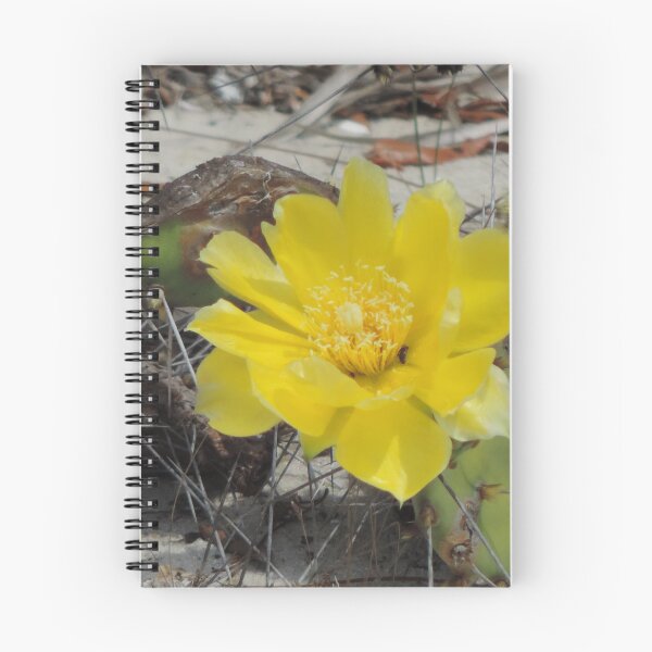 Item preview, Hermoso nopal designed and sold by Jmb67.