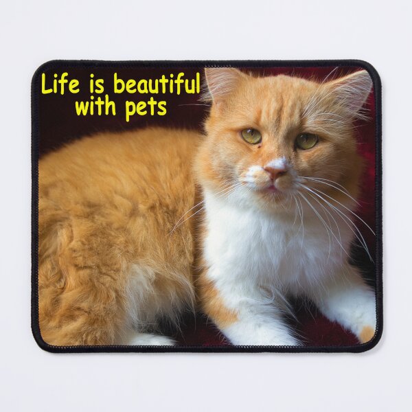 Item preview, A cat's life designed and sold by likbatonboot.