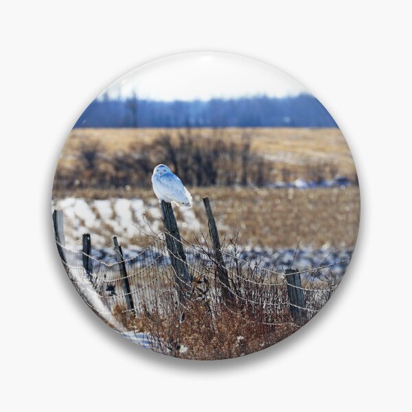 Item preview, Fence Sitting Snowy Owl designed and sold by Deb Oppermann.