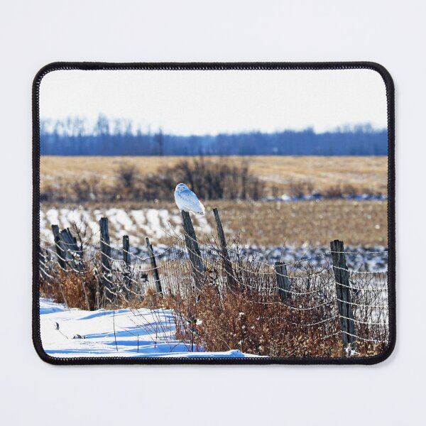 Item preview, Fence Sitting Snowy Owl designed and sold by Deb Oppermann.