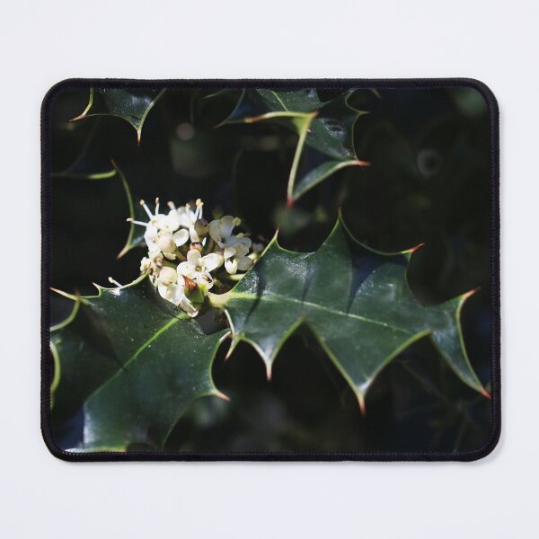 Item preview, Holly flowers. designed and sold by Paul Pasco.