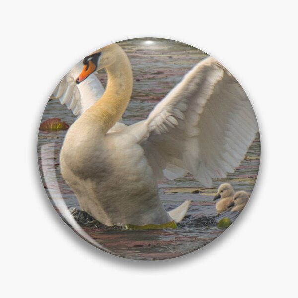 Item preview, Swan with Cygnets designed and sold by Chris O'Connor.