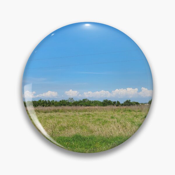 Item preview, Florida landscape designed and sold by reformedfruit.