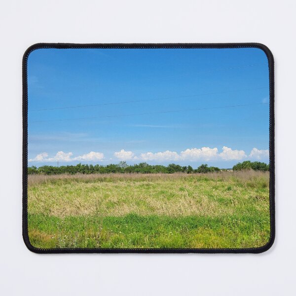 Item preview, Florida landscape designed and sold by reformedfruit.