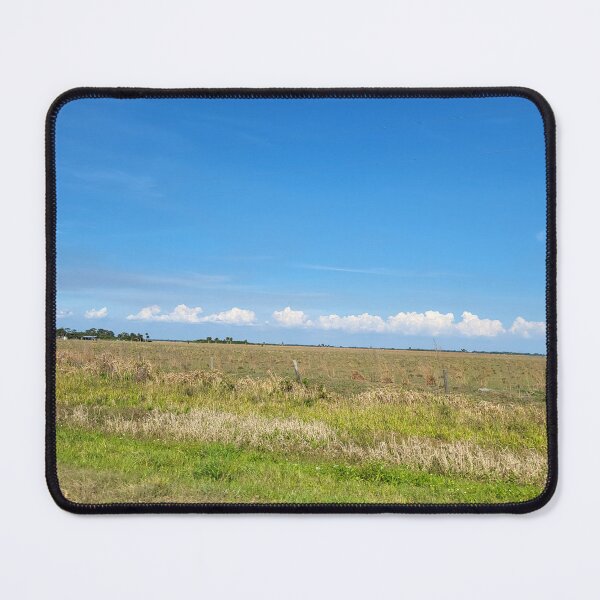 Item preview, Florida landscape designed and sold by reformedfruit.