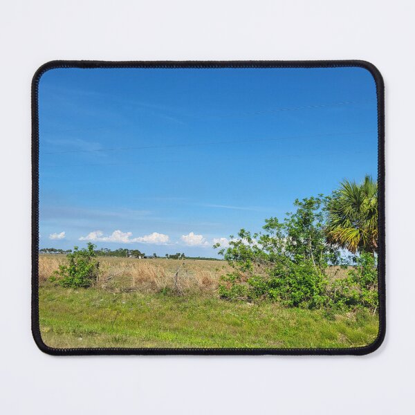 Item preview, Florida landscape designed and sold by reformedfruit.