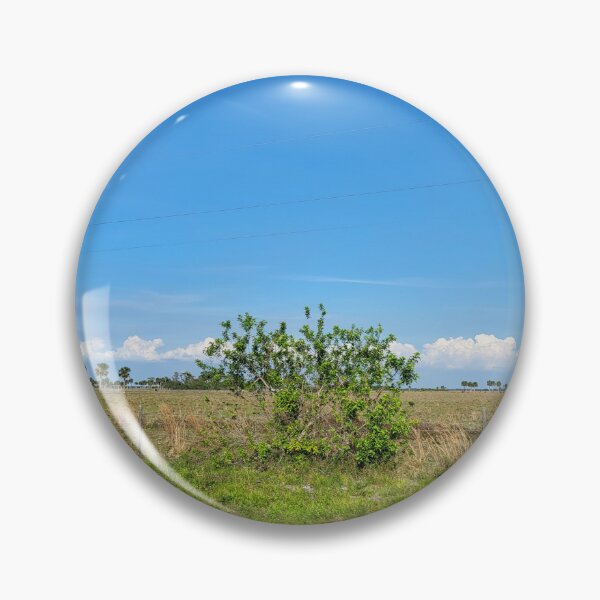 Item preview, Florida Landscape designed and sold by reformedfruit.