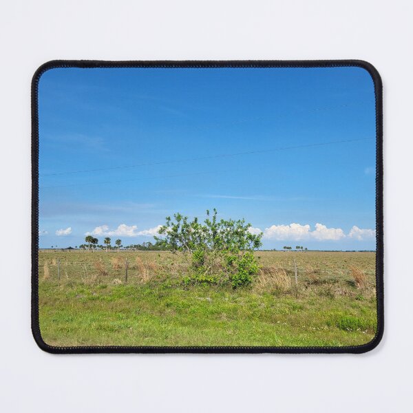 Item preview, Florida Landscape designed and sold by reformedfruit.