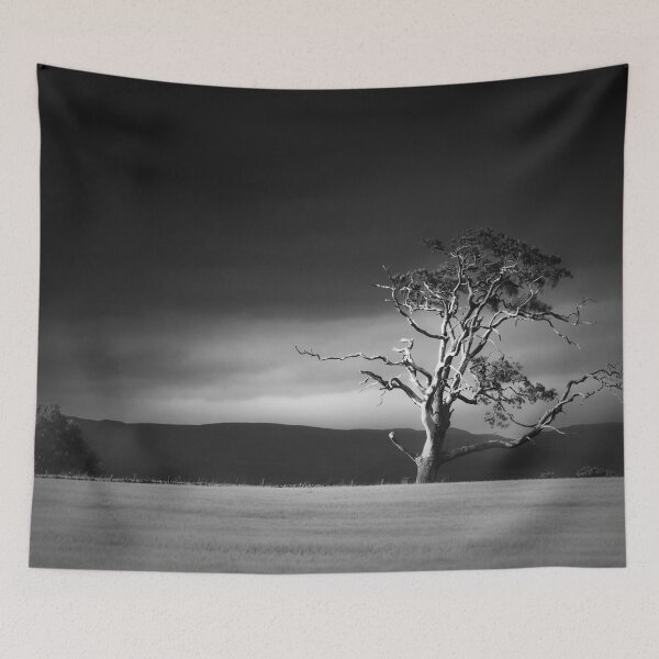 Item preview, Sidelit designed and sold by ShinyPhoto.