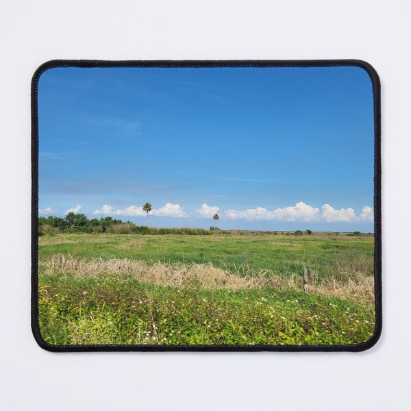 Item preview, Florida Landscape designed and sold by reformedfruit.