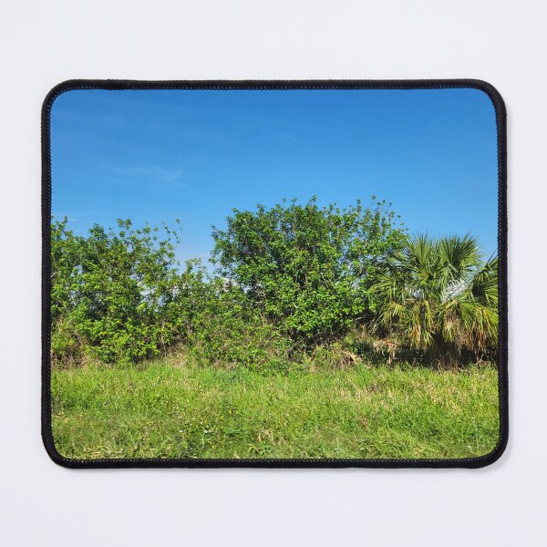 Item preview, Florida Landscape designed and sold by reformedfruit.