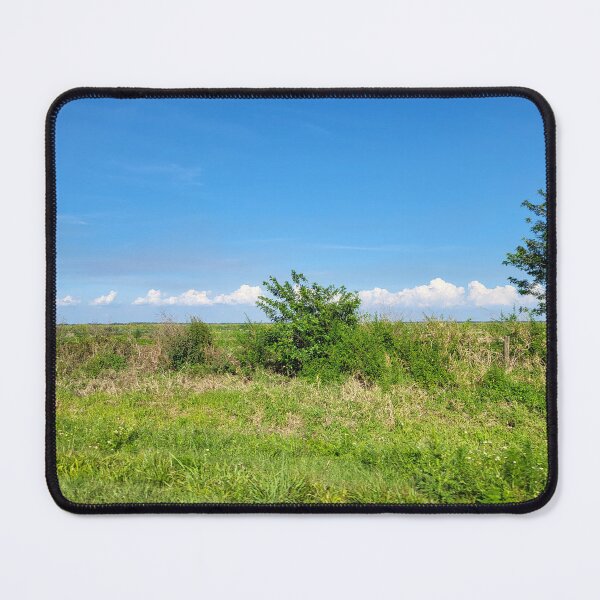 Item preview, Florida Landscape designed and sold by reformedfruit.