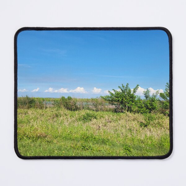 Item preview, Florida Landscape designed and sold by reformedfruit.