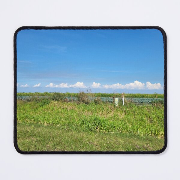 Item preview, Florida Landscape designed and sold by reformedfruit.