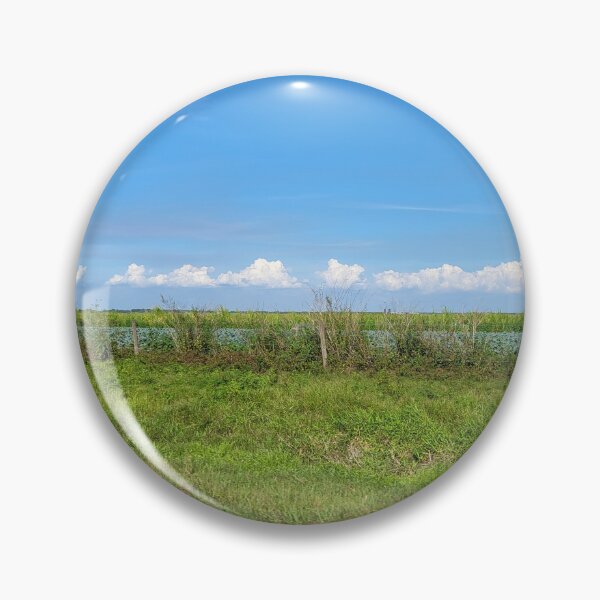 Item preview, Florida Landscape designed and sold by reformedfruit.