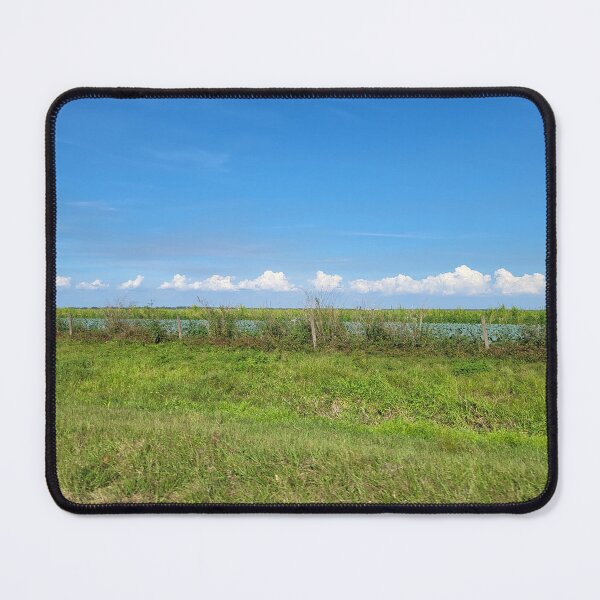 Item preview, Florida Landscape designed and sold by reformedfruit.