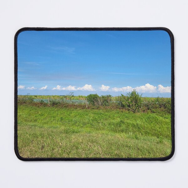 Item preview, Florida landscape designed and sold by reformedfruit.