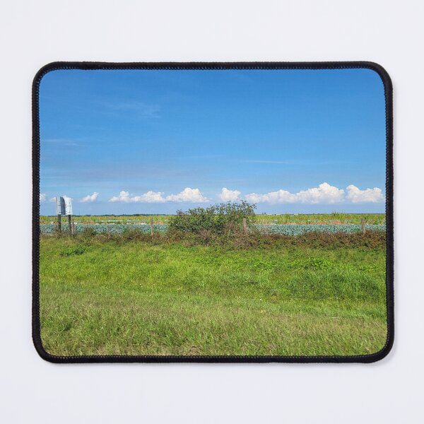 Item preview, Florida Landscape designed and sold by reformedfruit.