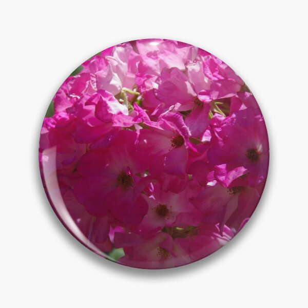 Item preview, Floribunda Roses At Pinjarra, Western Australia designed and sold by lezvee.