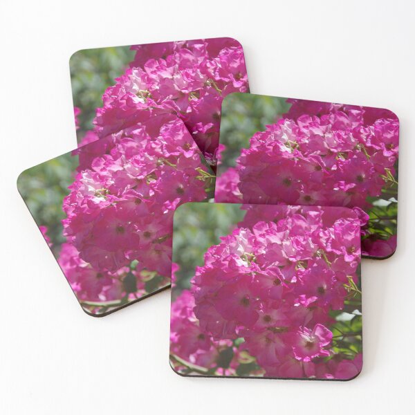 Item preview, Floribunda Roses At Pinjarra, Western Australia designed and sold by lezvee.