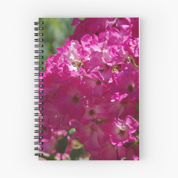 Item preview, Floribunda Roses At Pinjarra, Western Australia designed and sold by lezvee.