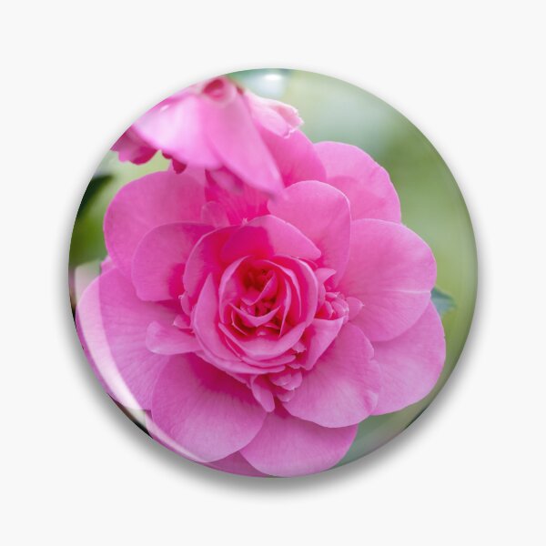 Item preview, Camellia Pink 1 designed and sold by Tanya C  Smith.
