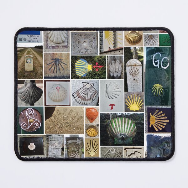 Item preview, The Shells of the Camino de Santiago designed and sold by RaquelClausi.