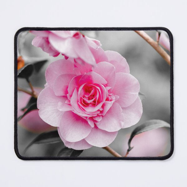 Item preview, Pink Camellia 2 designed and sold by Tanya C  Smith.