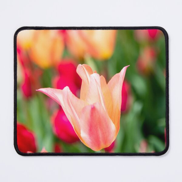 Item preview, Dreamy Tulipa designed and sold by Tanya C Smith.