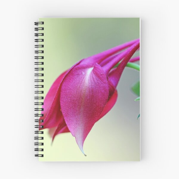 Item preview, Long Spurred Columbine designed and sold by Deb Oppermann.