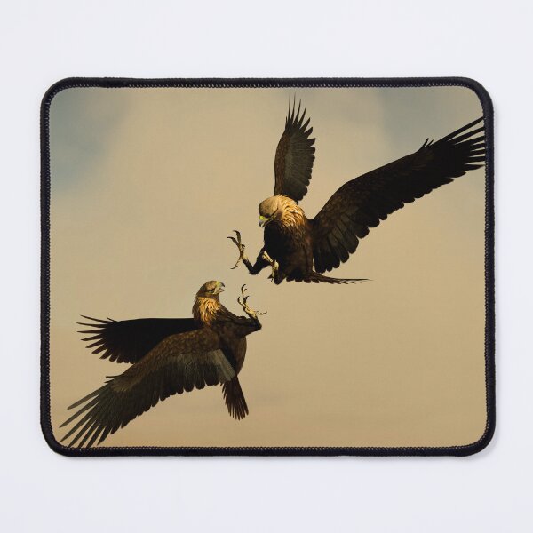 Item preview, Eagle fight designed and sold by Joe´s Art Nook.