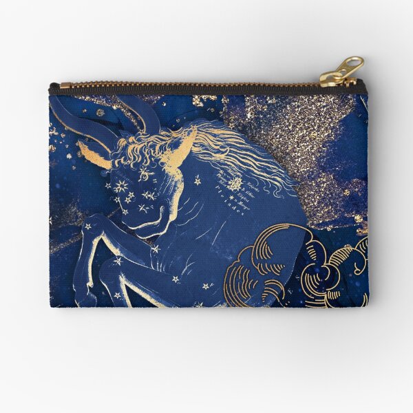 Blue & Gold Zipper Pouch