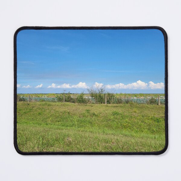 Item preview, Florida Landscape designed and sold by reformedfruit.