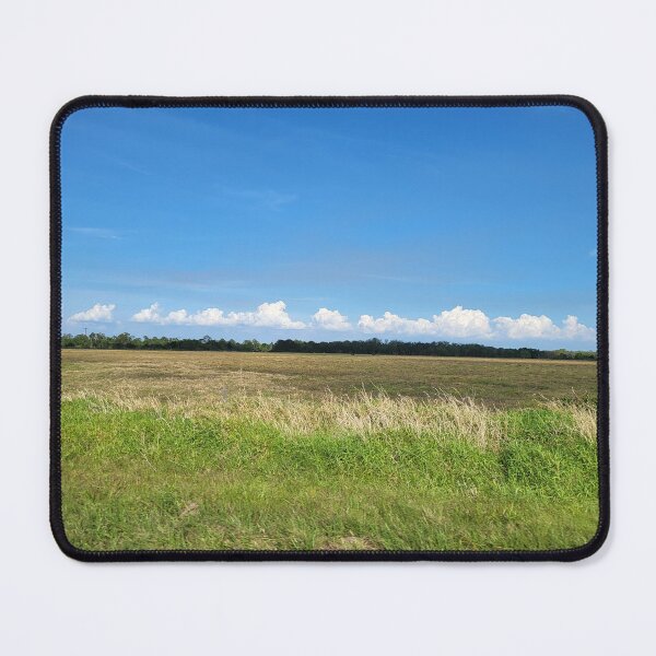 Item preview, Florida Landscape designed and sold by reformedfruit.