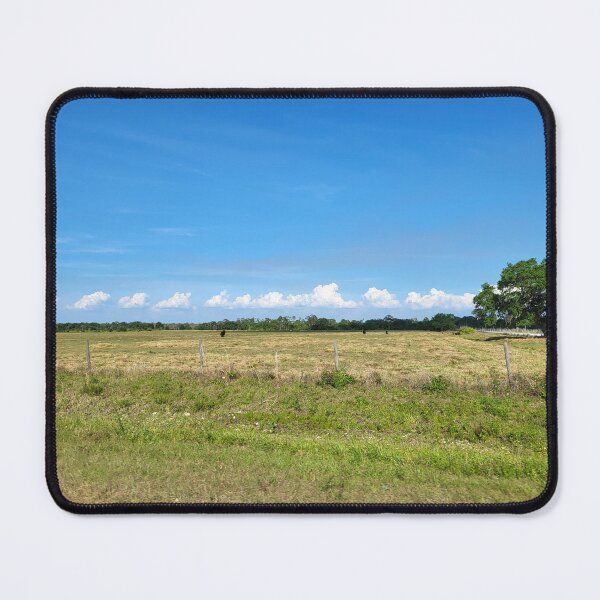 Item preview, Florida landscape designed and sold by reformedfruit.