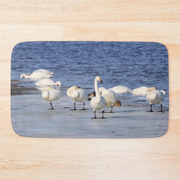Item preview, One has to stay awake. Whooper swan designed and sold by Jouko Lehto Photography.