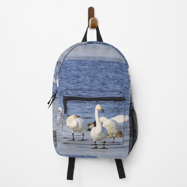 Item preview, One has to stay awake. Whooper swan designed and sold by Jouko Lehto Photography.