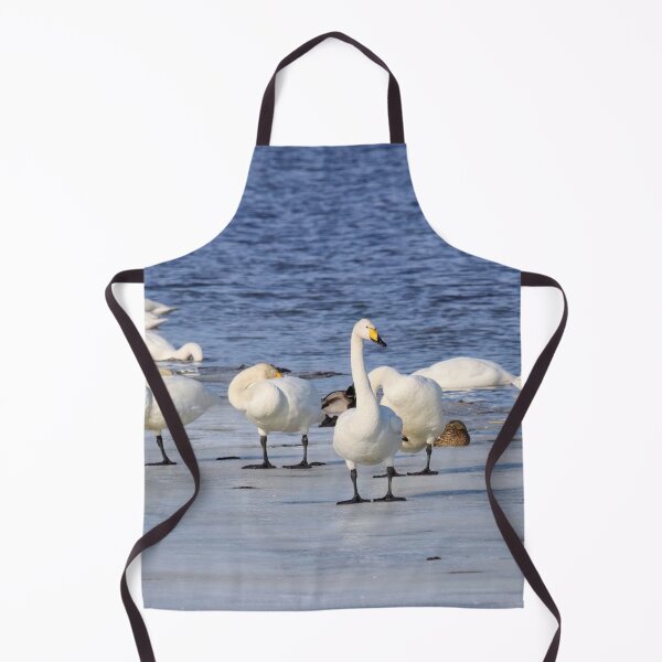 Item preview, One has to stay awake. Whooper swan designed and sold by Jouko Lehto Photography.