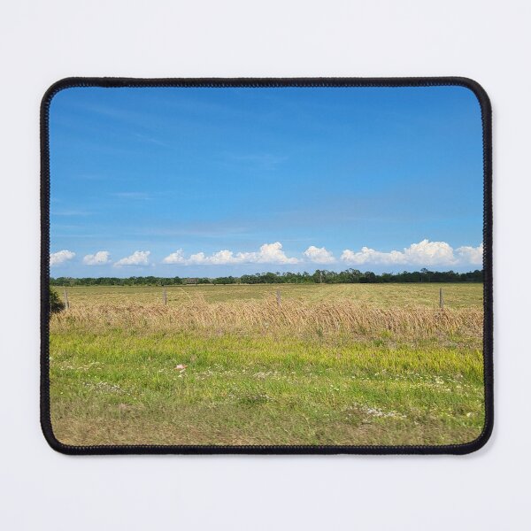 Item preview, Florida Landscape designed and sold by reformedfruit.