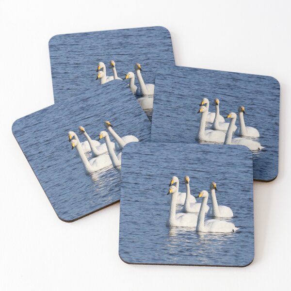 Item preview, The Quintet. Whooper swan designed and sold by Jouko Lehto Photography.