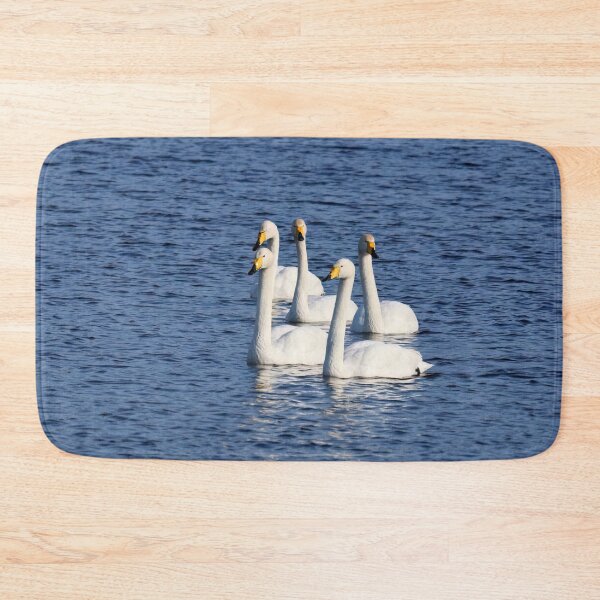 Item preview, The Quintet. Whooper swan designed and sold by Jouko Lehto Photography.