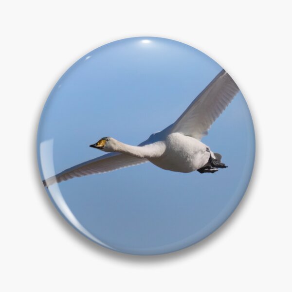 Item preview, Light blue sky. Whooper swan designed and sold by Jouko Lehto Photography.