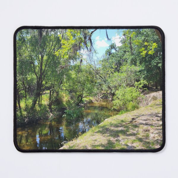 Item preview, Florida Landscape designed and sold by reformedfruit.