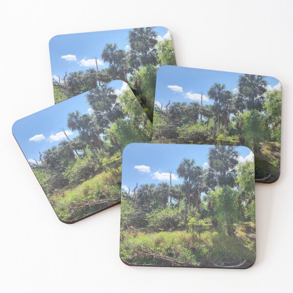 Item preview, Florida Landscape designed and sold by reformedfruit.