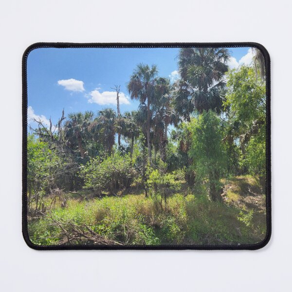Item preview, Florida Landscape designed and sold by reformedfruit.