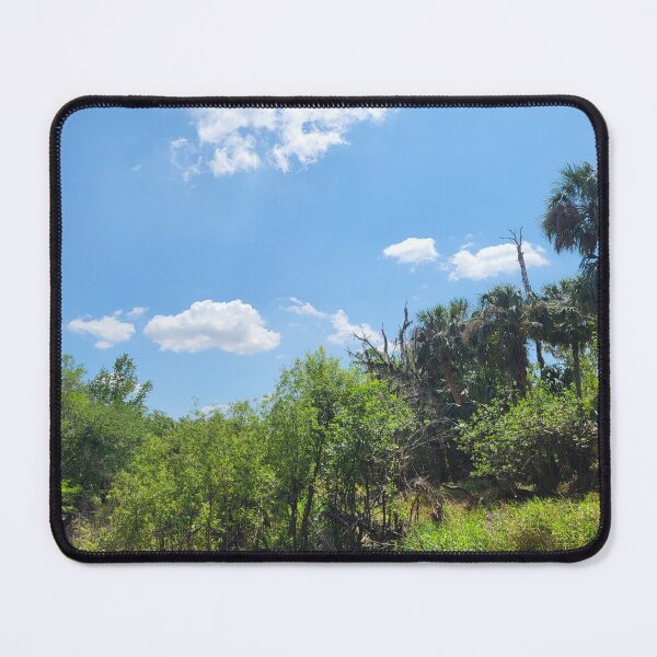 Item preview, Florida landscape designed and sold by reformedfruit.