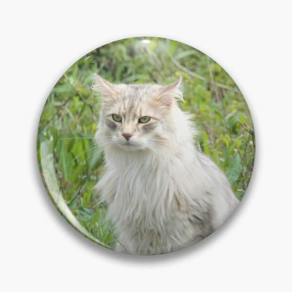 Item preview, Stray Cat designed and sold by TMBTM.